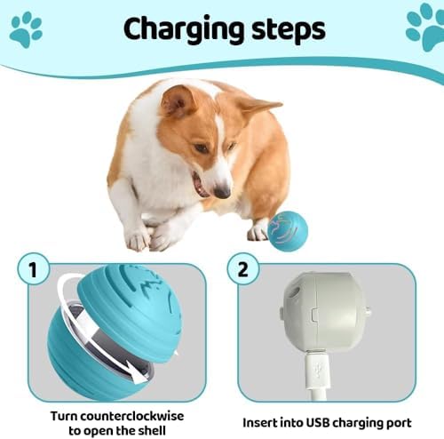 Smart Jumping Ball Dog Toy for Small Dogs and Cats - Blue