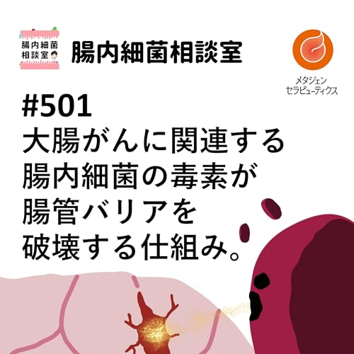 #501 大腸がんに関連する腸内細菌の毒素が腸管バリアを破壊する仕組み。
