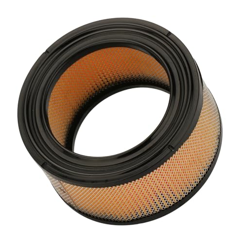 Filtre à air AM30800 pour résoudre les pannes de nettoyeur