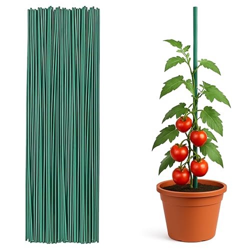 ADEPTNA 60PCS Bamboo Plant Support Sticks 60cm Durable & Strong Green Bamboo Canes Versatile Plant Stakes for Flowers, Climbing Plants, Vegetables, Orchids Smooth & Long-Lasting Floral Sticks