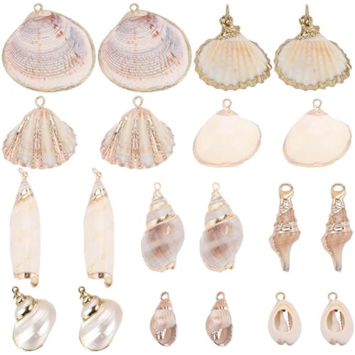 Breloques coquillages dorées et conques naturelles pour joaillerie artisanale fine