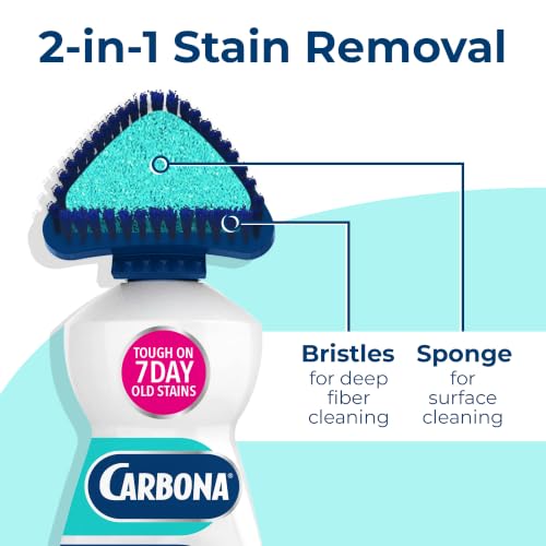 Carbona Oxy Powered Upholstery Cleaner
