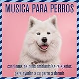 Music for Pets