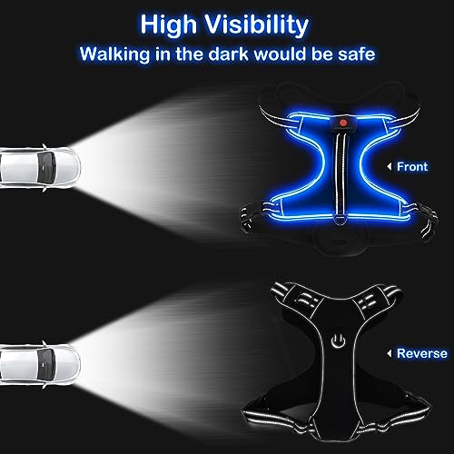 Image of LED Light Dog Harness, X-Large, Black-Blue, No-Pull, Rechargeable, for Large Dogs