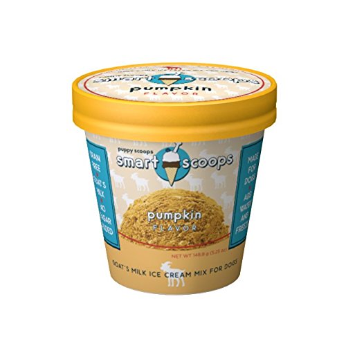 Best Ice Cream For Dogs