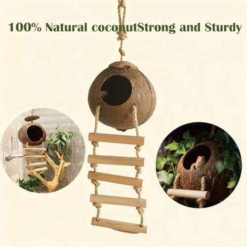 Leopard Gecko Tank Accessories - Reptile Hammock Vines & Hideout