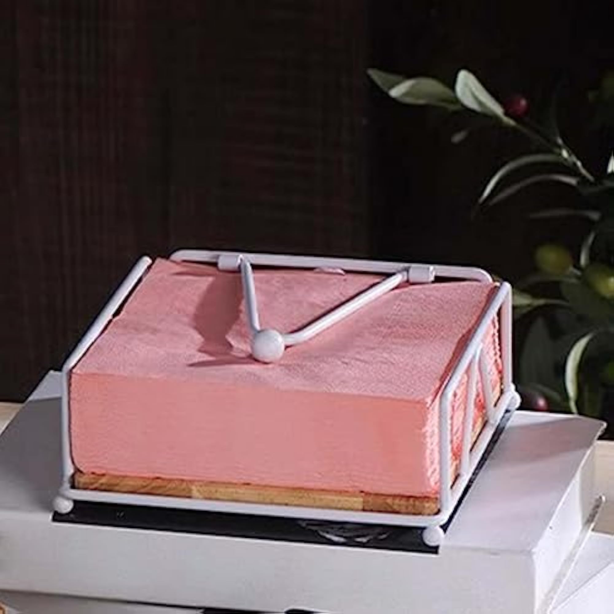 Napkin Serviette Holder for Outdoor Use