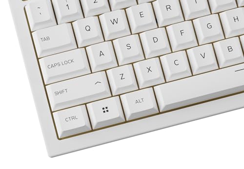 Capuchons de touches GPBT Glorious Gaming profil Cherry PBT Arctic White US