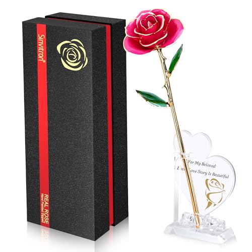 Gold Dipped Infinity Rose