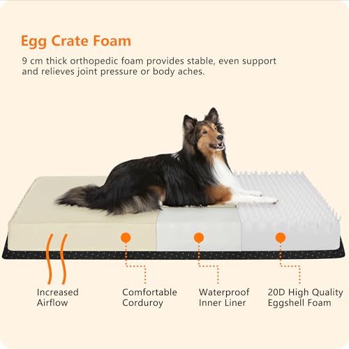 HMTOPE Orthopädisches Hundebett, 9cm Dicke Hundekissen für Mittelgroße Hunde, Abnehmbar und Waschbar Hundematte, rutschfeste Unterseite, Wasserdichtes Innenfutter, 91 cm, Beige