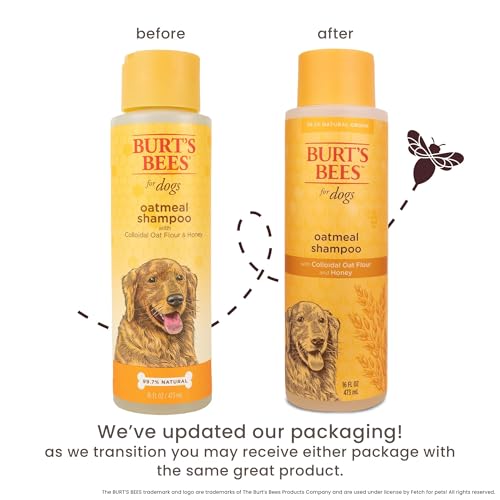 Burt's Bees for Pets Oatmeal Shampoo for Dogs with Colloidal Oat Flour and Honey - Skin Soothing Dog Oatmeal Shampoo, Moisturizing Dog Wash for Itchy Dry Skin, Essential Grooming Supplies, 16 Fl Oz