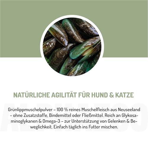 alphazoo Grünlippmuschel Hund, Katze & Meerschweinchen UVM. I Neuseeländisches Grünlippmuschel Pulver 100 g I Natürliches Gelenkpulver in Vollfett-Qualität