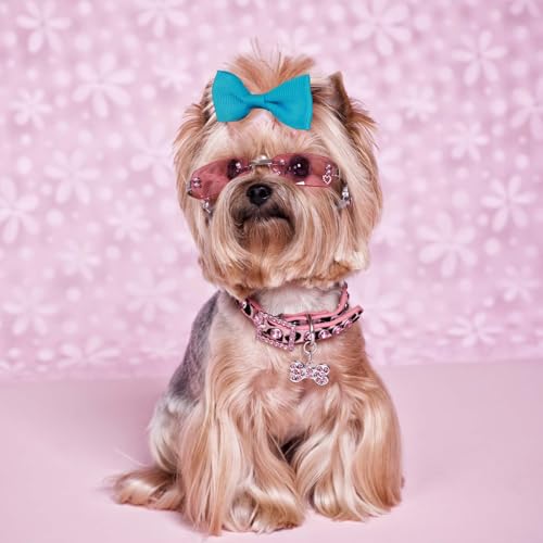 Bremorou 40 Stück Haarschleifen für Hunde Hunde Zopfgummis Hundehaarschleifen Haarband Yorkshire Schleife Gummibänder Haarschmuck Mit Gummibändern Haarschleifen für Kleine Katzen Welpen Haustiere