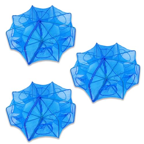 HIRAISM   d|   Gr Jj    ܏ lbg ԑŐs v (8 3Zbg)