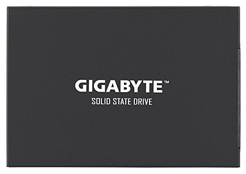 Build My PC, PC Builder, Gigabyte GP-GSTFS30256GTTD