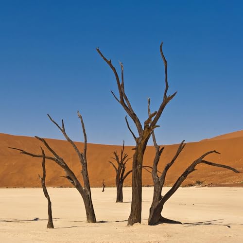 S4E45: The Desertification Myth: Unpacking the Truth About Dry Lands