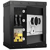 KAER Biometric Gun Safe - Heavy - Duty Fireproof Home Safe for Multiple Handguns, Featuring Fingerprint Recognition, Backlit Keypad, Gun Rack, 2.8 Cubic Feet Secure Pistol Storage Box