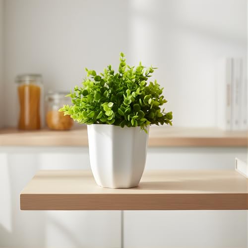 Image of fancymart Artificial Plant Hackleberry Bunch in Pot - 22 cm Height, Perfect for Tabletop Decoration | Ideal for Home & Office Decor