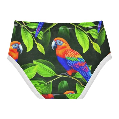 Vibrant Birds Green Leaves Toddler Girls Underwear 2t Cotton Panties Little Girl Colorful Briefs Undies Kids2
