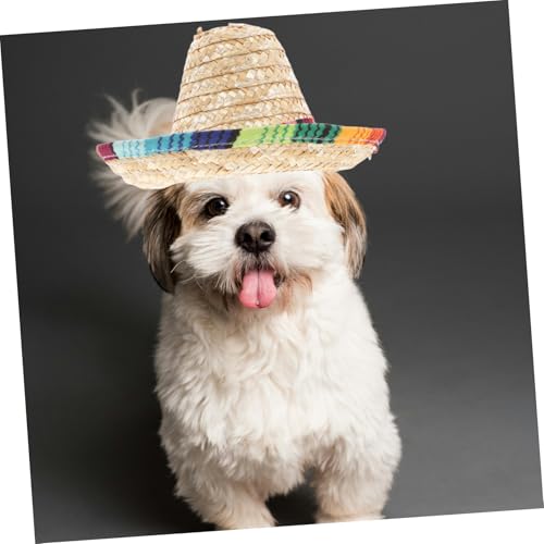 Sombrero divertido para perro disfraz fiesta miniatura 6