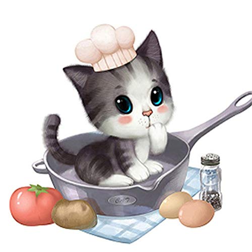 DIY 5D Diamante Pintura por Número Kit, Gato en sartén 30x40cm Bricolaje Diamond Painting kit...