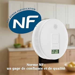 SIEMENS - Détecteur de monoxyde de Carbone NF 5TC1260-3 Garantie et autonomie 10 Ans