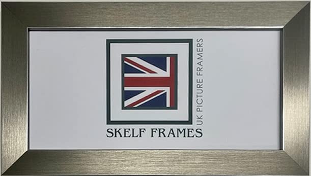 20" x 6" PANORAMIC PICTURE PHOTO POSTER FRAME WITH GLASS (Pewter)