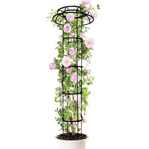 Treillis à tomates cadre de support durable en acier pour extérieur - 2