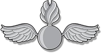 Navy Aviation Rating AO ORDNANCEMAN Logo Shaped Sticker Naval Wings Vinyl Decal 2.5 x 5 inch USN Licensed