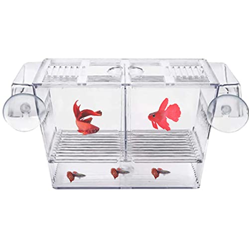 Tiuxiu Tanque De Cría Peces,Tanque De Cría Acuarios Caja De Aislamiento De Incubación De Peces Caja De Desove De Incubación De Aislamiento Transparente Pecera De Acuario Doméstico (22 × 9,5 × 9,5 cm) Cover