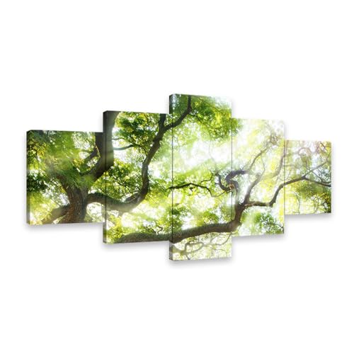 アートパネル 山の絵 風水玄関風景 森林ポスター 5枚 壁掛け絵画 緑 自然 森林 アートフォト 自宅玄関絵画 完成品 木製フレーム