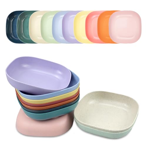 aupawdy 10 Piezas Platos Plastico Duro Reutilizables, Platos Plastico Duro Platos Camping para Camping, Barbacoa, Cocina, Microondas