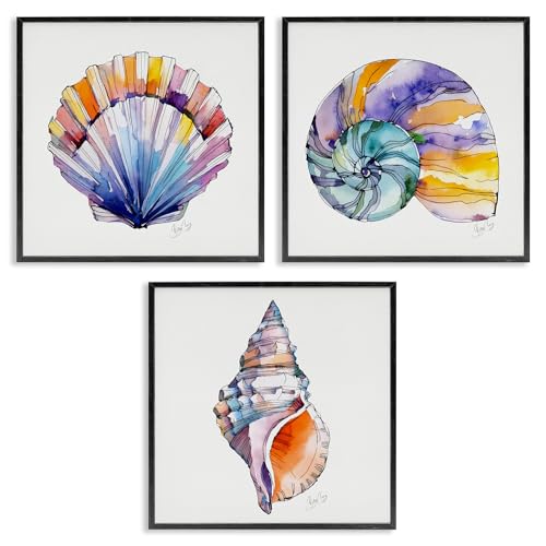Tableaux coquillages Shelly Craig robustes et faciles à accrocher pour mur vide
