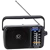 Panasonic RF-2400DEG-K Tragbares Radio mit Griff, Netz- oder Batteriebetrieb schwarz