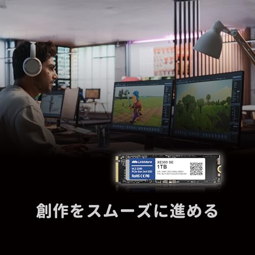 LinkMore XE300 SE 1TB の商品画像 1