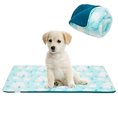 Expawlorer Dog Crate Pad For Small Dogs - Soft Waterproof Dog Bed Mats For Sleeping, Washable Breathable Dog Crate Bed Kennel Pad For Small Animals Cat Kitty Kitten Blue #TOP29