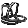 Cinturón Moto Niño, Motocicleta Bicicleta Niño Cinturón, Cinturón de Niños de la Motocicleta, Motocicleta Bicicleta Niño Cinturón de Seguridad, Adjustable Arnes Moto,con Reflectantes, Negro
