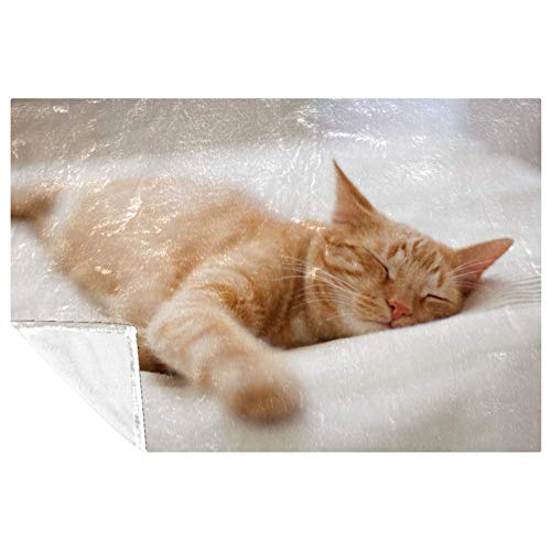 Couverture douce chat contre les soirées fraîches sur canapé et lit - 2