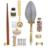 Style Européen Rétro : L'ensemble de luxe pour stylos à encre plume contient des accessoires polyvalents, avec un style européen rétro