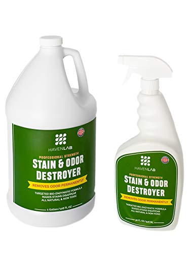 HAVENLAB Destruidor de manchas e odores - eliminador enzimático de xixi para cães e gatos - tapete,