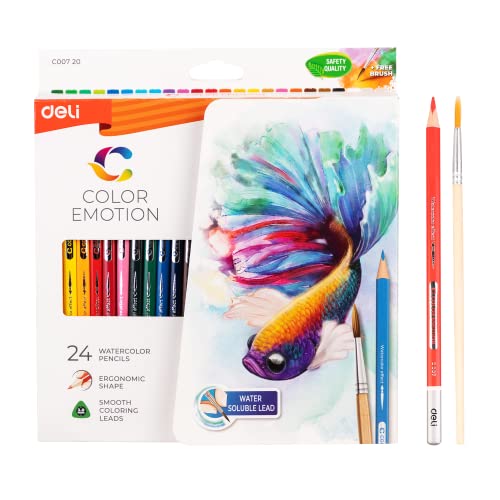deli Aquarellstifte Set, 24 brillante Farben – Wasserlösliche Buntstifte für Erwachsene & Kinder, Künstlerbedarf zum Zeichnen & Malen, Malstifte für Aquarell-Effekte, Stifte Set mit Pinsel