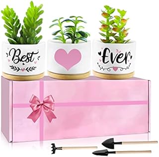 Birthday Gifts for Friend Teen Friendship Gifts for Women Boyfriend Female Best Friend Succulent Plant Pots Garden Shovel Set with Gift Box Cute Friend Gifts for Plants, Gift Boxed Planter Gift Set