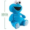 GUND Sesame Street Official Oh So Snuggly Cookie Monster Plush, Plush Muppet, Sensory Toy, Stuffed Animals for Babies and Infants, Red, 12.5