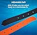 Sea frogs Diving Weight Belt | Scuba Diving Weight Belt, Adjustable Quick-Dry Rubber/Silicone Belt for Freediving, Snorkeling & Water Sports (Black)