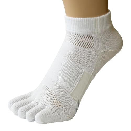 [Te] 5{w\bNX Xj[J[ y9430z T|[g ~ RۖhL   3 X|[c {