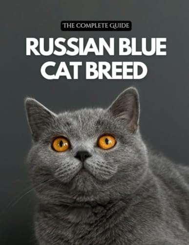 Russian Blue Cat Breed: A Complete Guide