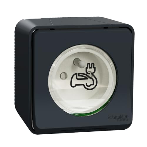 Schneider Electric - Mureva Styl - Prise courant 2P+T renforcee - saillie - IP55 - IK08 - EV - gris - MUR36010