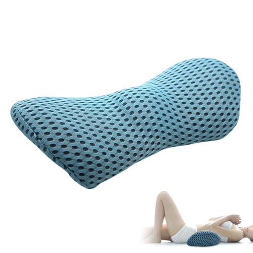LUPATDY Rückenkissen Lendenkissen - lordosenstütze Auto,Memory Foam Rückenstützkissen,lendenwirbelkissenfür Autositze, Bürostuhl,Komfort und Weichheit (Hellgrau mit Blau)