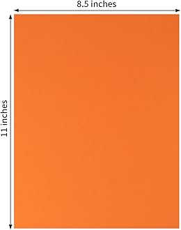Wishop 20 Sheets Colored Thick Paper Cardstock Blank for DIY Crafts Cards Making, Halloween, Thanksgiving (Dark Orange, 8.5 x 11 inches)