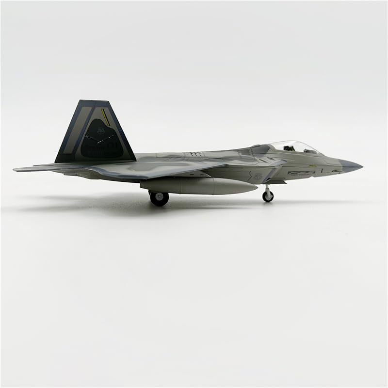 Amazon.com: USAF F-22 Raptor 1/100 Diecast Aircraft Model : Arts